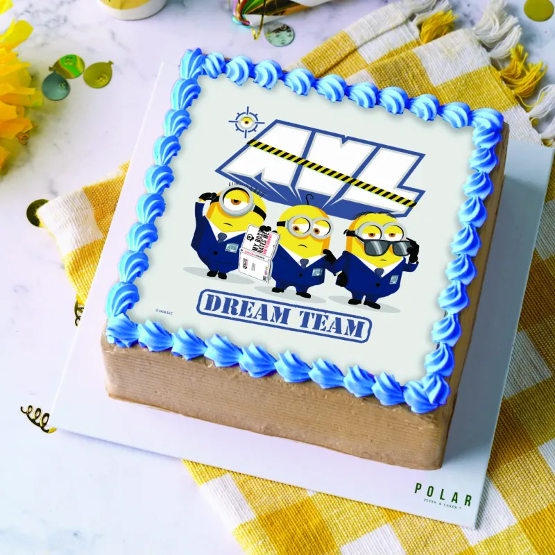 Despicable Me 4 - Standard (DM4_04)
