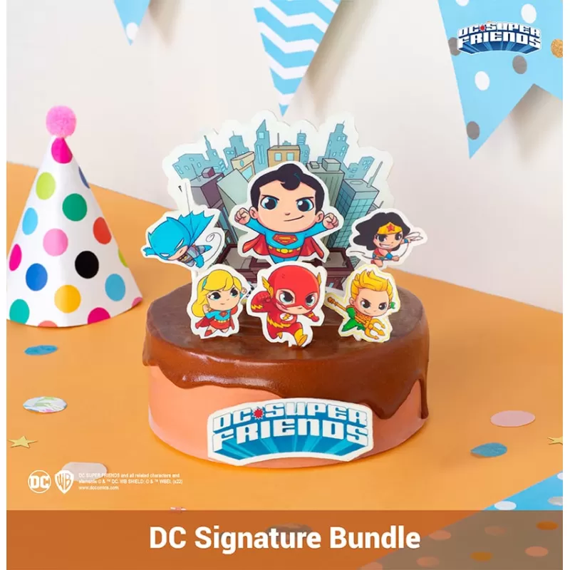 DC Signature Bundle - DC Heroes Unite!